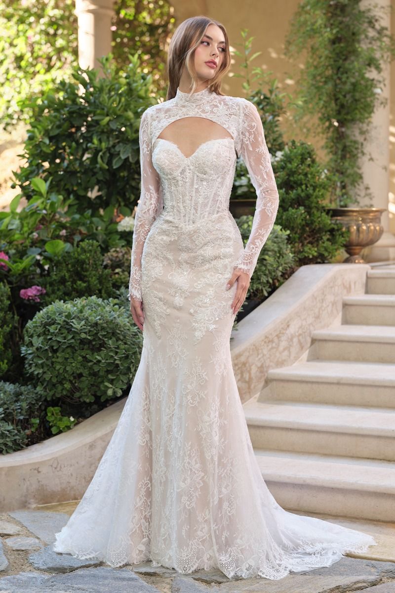 vestido de novia de corte sirena presenta una delicada superposición de encaje con lentejuelas que cae elegantemente y un bolero de encaje desmontable ofrece un elegante escote alto y mangas largas