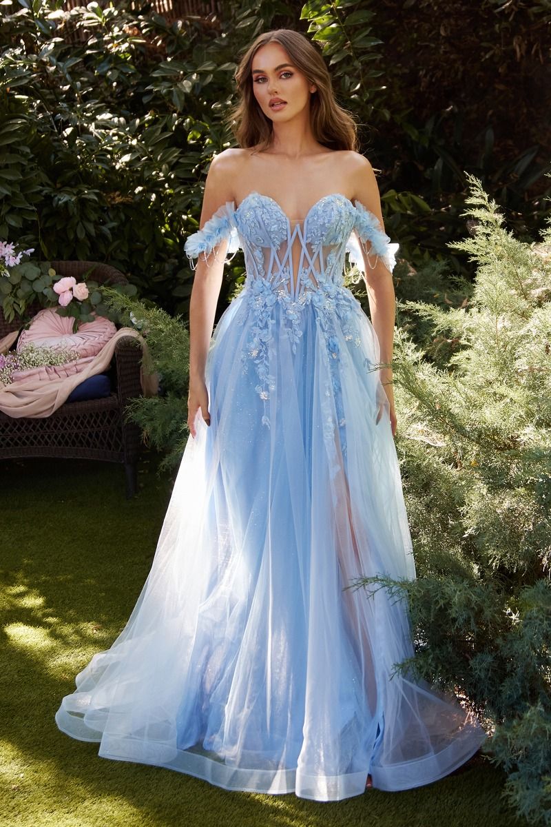 Celestial vestido con corpiño transparente , adornado con apliques de encaje y tirantes fuera del hombro adornados con brillantes cortinas de diamantes