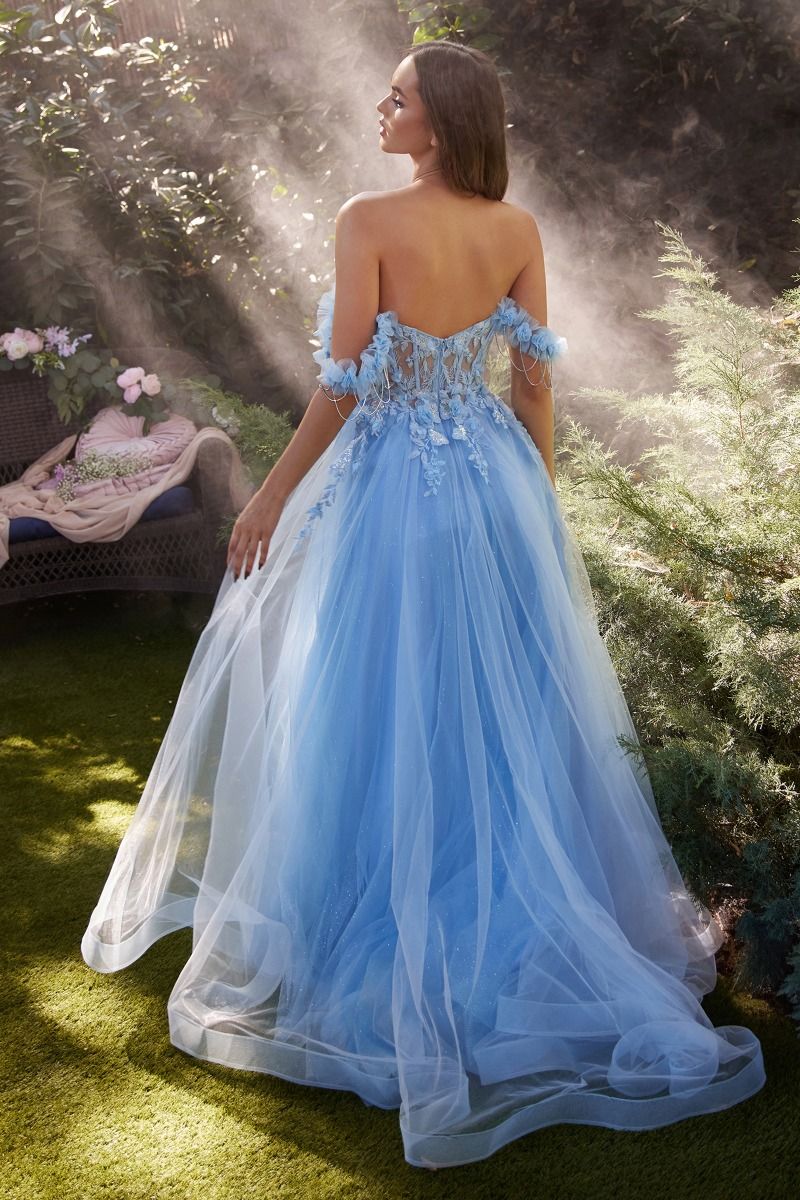 Celestial vestido con corpiño transparente , adornado con apliques de encaje y tirantes fuera del hombro adornados con brillantes cortinas de diamantes