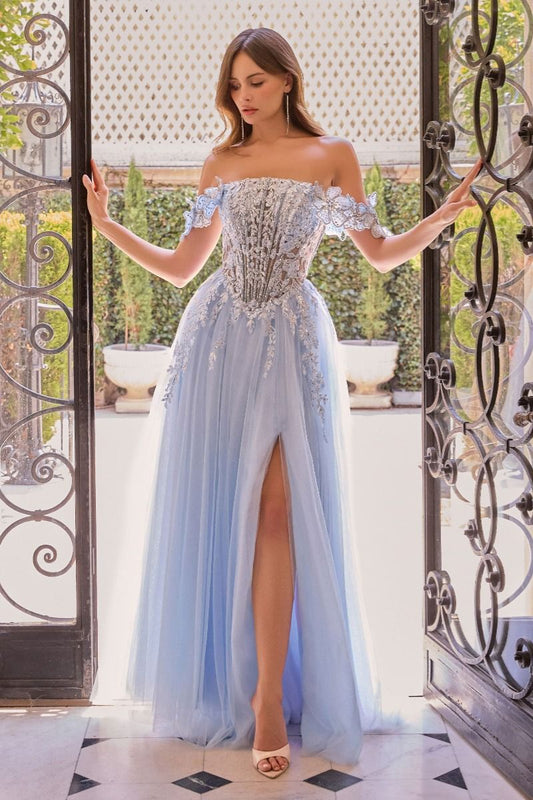 Inolvidable vestido de corte en A adornado con bordados florales, lentejuelas brillantes y aplicaciones con relieve y una falda de tul con destellos