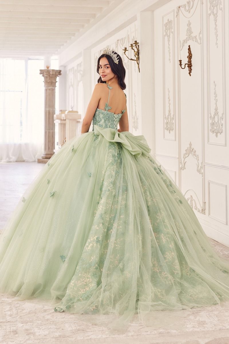 Memorable vestido de quinceañera de tul en capas con delicados apliques de mariposas que adornan las correas