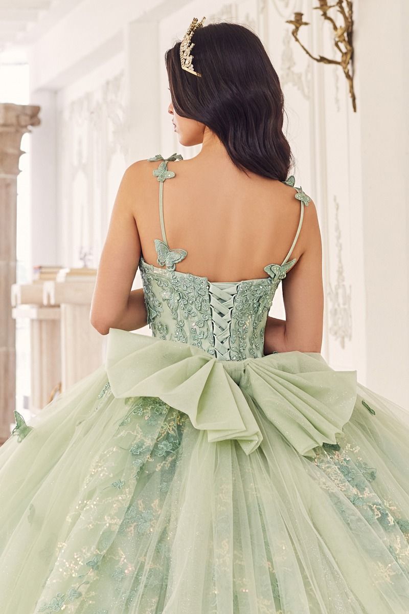 Memorable vestido de quinceañera de tul en capas con delicados apliques de mariposas que adornan las correas