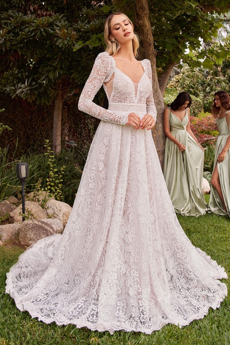 Impresionante vestido de novia de corte A confeccionado con lujoso encaje de guipur, mangas removibles, escote en V y un dobladillo de encaje festoneado