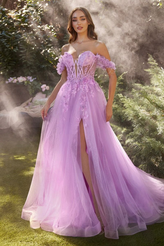 Celestial vestido con corpiño transparente , adornado con apliques de encaje y tirantes fuera del hombro adornados con brillantes cortinas de diamantes